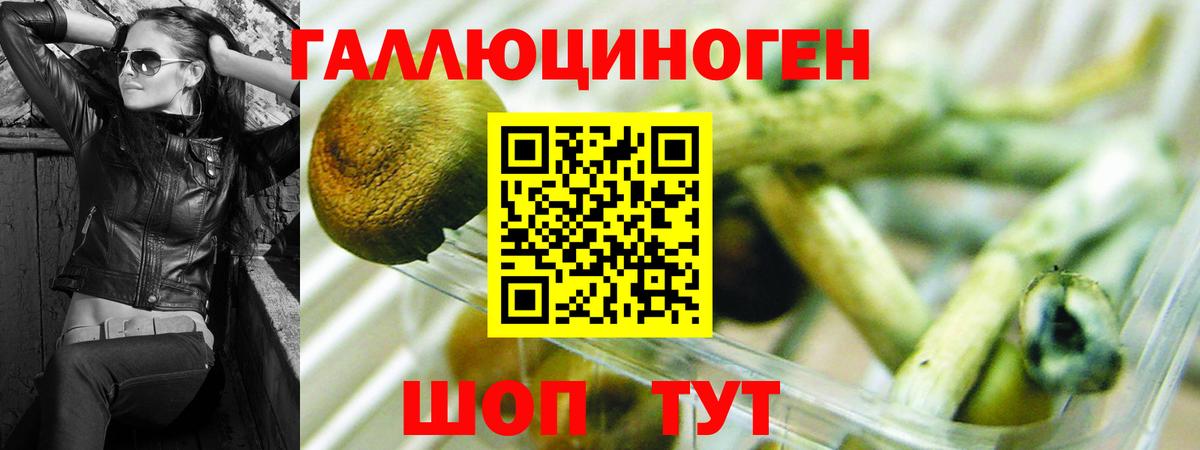 Галлюциногенные грибы Magic Shrooms Верхняя Салда