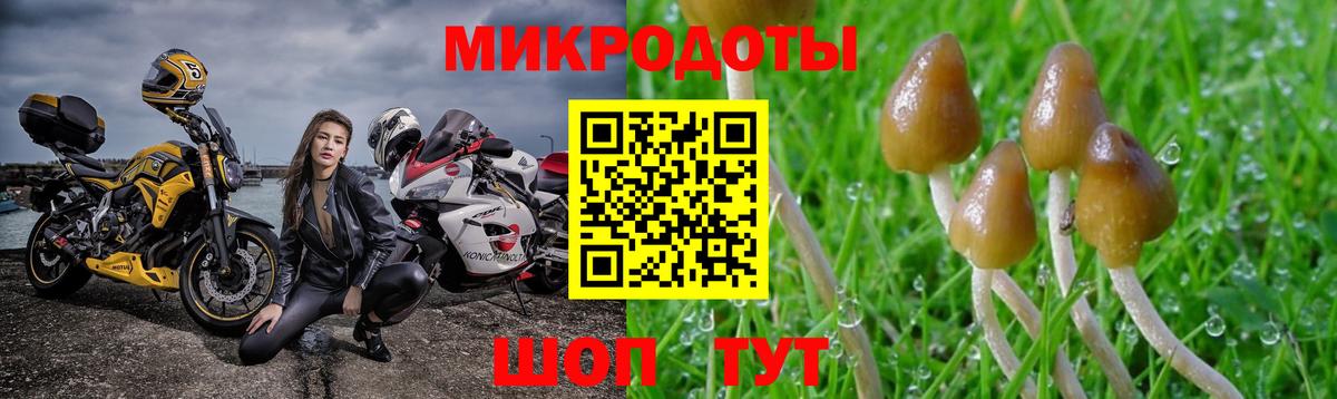 Псилоцибиновые грибы мицелий  Вход с VPN  Галлюциногенные грибы Cubensis  цена наркотик  Верхняя Салда 