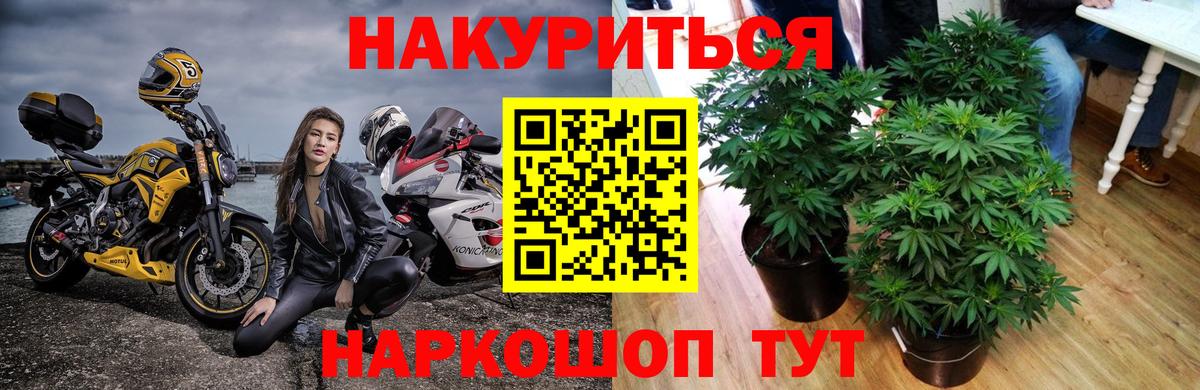 Конопля марихуана Верхняя Салда